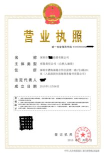 細(xì)數(shù)轉(zhuǎn)讓金融科技貿(mào)易各行業(yè)小規(guī)模與一般納稅人公司的利弊——技術(shù)轉(zhuǎn)讓及維護(hù)服務(wù)深度解析